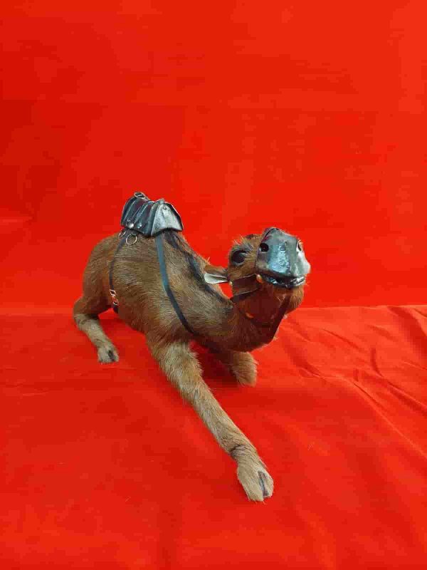Vintage Leather Camel
